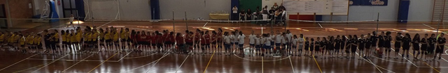 Volley Cup 2013 (formazioni)