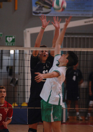 Pisciella Alessandro (contrasto)