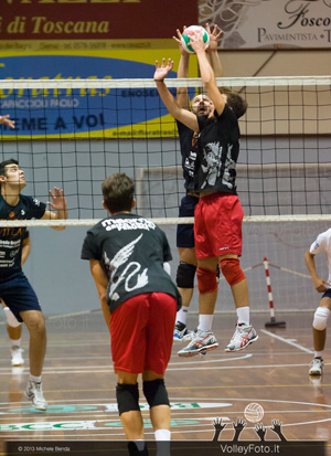 Pasquini-Cricco (contrasto)