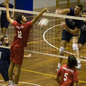 Stoppelli Davide (muro)