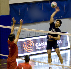 Bittoni Alessandro (attacca)