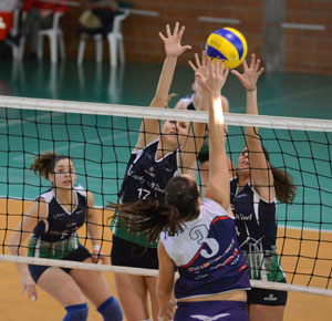 Silvestri-Meniconi (muro)