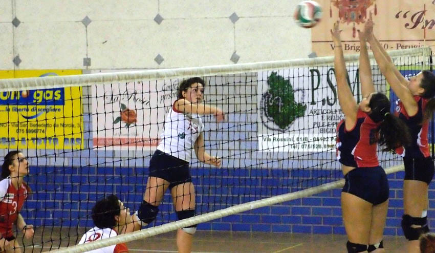 Calzola Sofia (attacco)