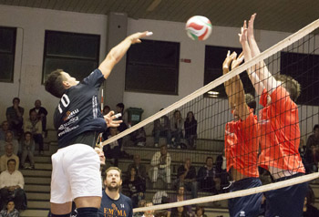 Urbani Davide (attacco)