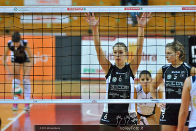 Cruciani-Puchaczewsski (rete)