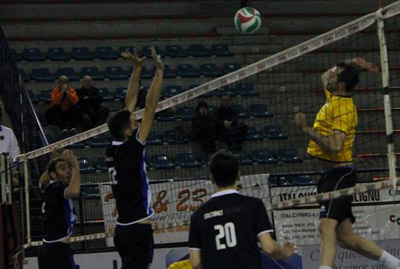 D’Orazio Stefano (attacco)