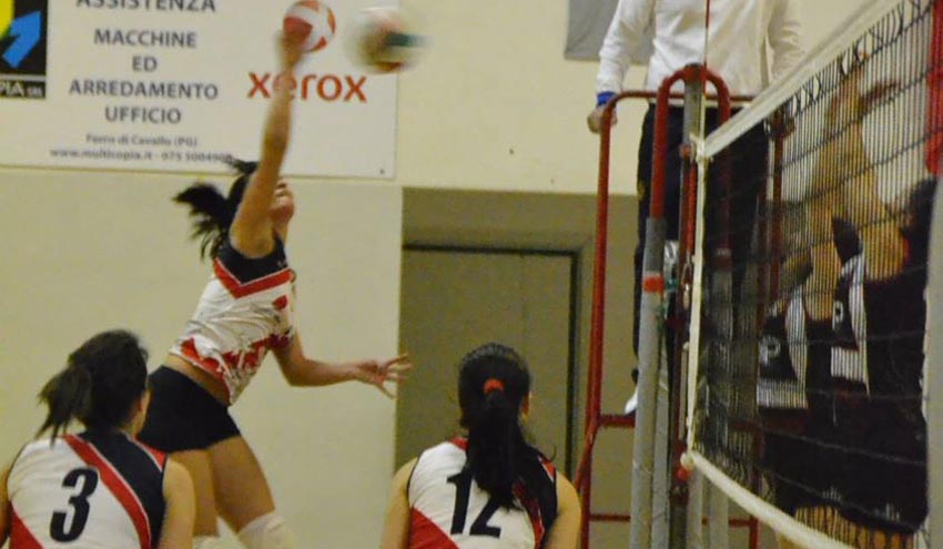 Scorcini Maria Dolores (attacca)