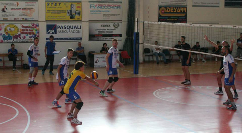 Simonetti Giulio (ricezione)