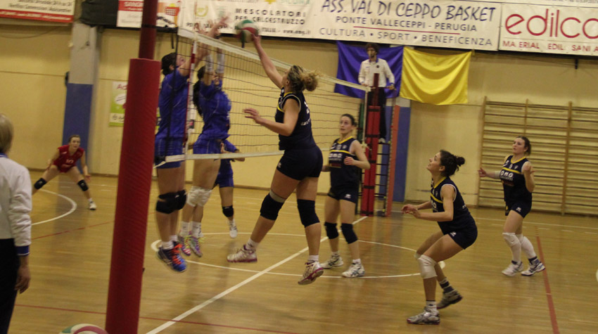 Meschini Elisabetta (attacco)