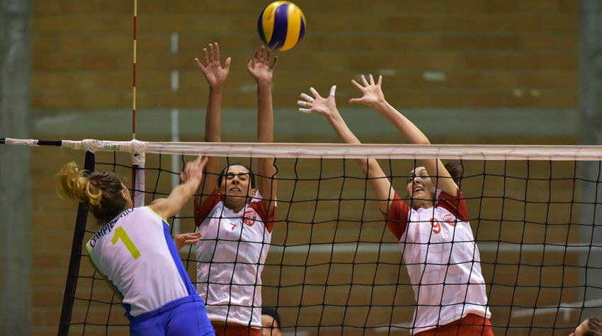 Castellucci-Testasecca (muro)