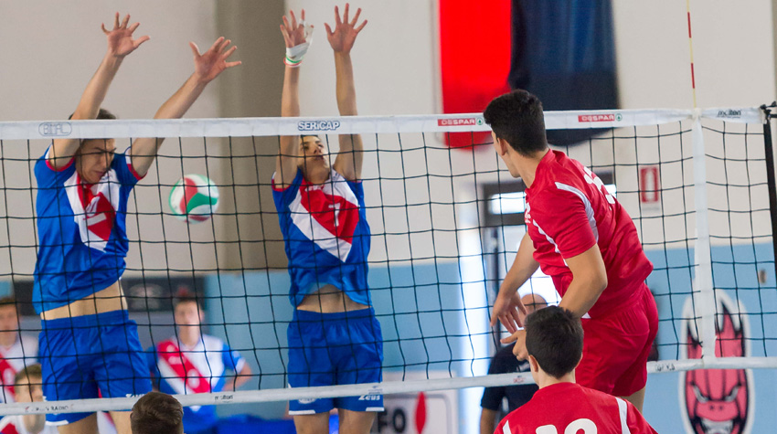  Atria Nicola (attacco)