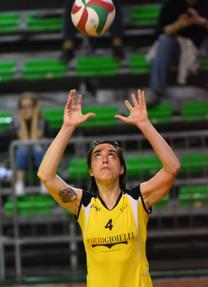 Bragetta Beatrice (alza)