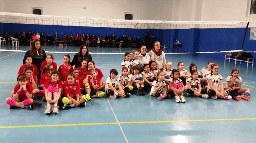 Polisportiva Ternana (gruppo) minivolley