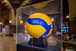 Volley (palla)