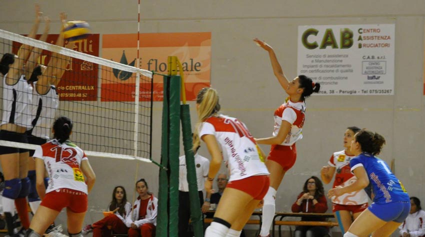 Fiorini Erica (schiacciata)