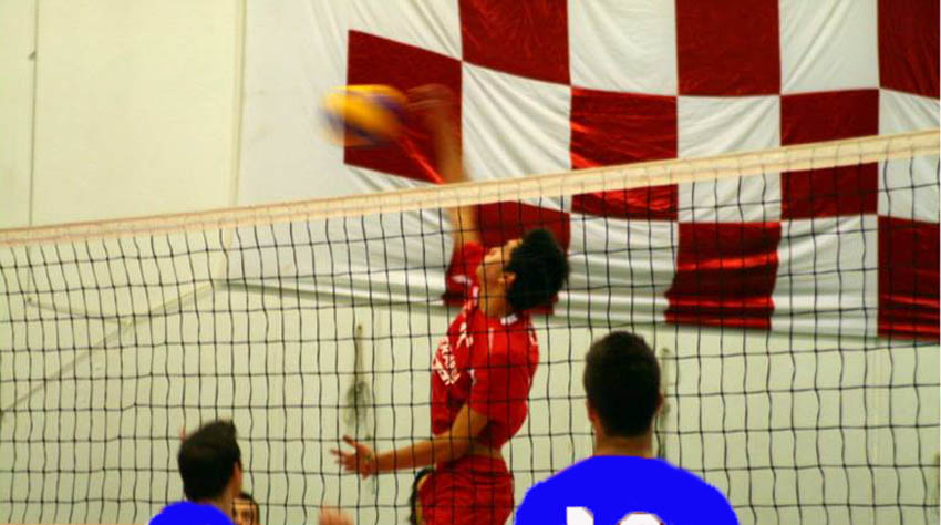 Raffanti Luca (attacco)