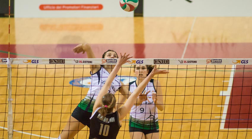 Volaj Lisiena (attacca)