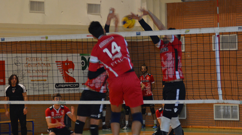 Merli-NulliPero (muro)