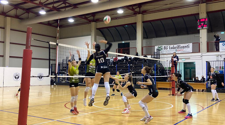 Cicogna Arianna (attacco)