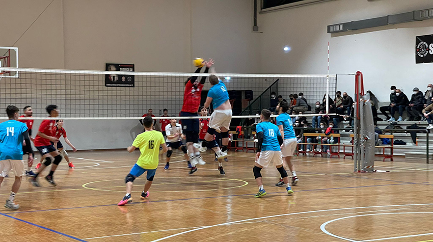 Paffarini Alessio (muro)