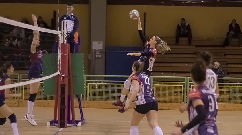 Micheletto Maddalena (attacco)