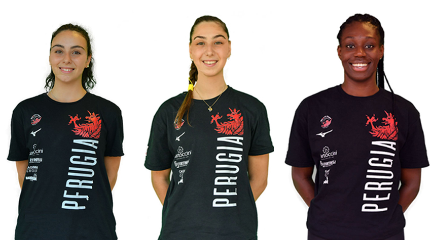 Armini-Gardini-Nwakalor