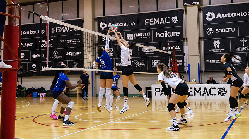 Volpi-Zani (contrasto)