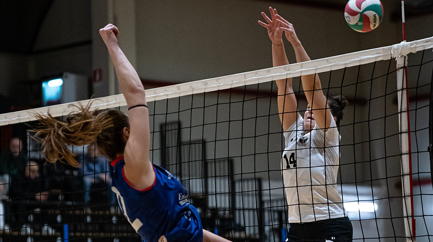 Borzetta Emma (muro)