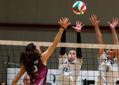 Morozova-Mearini (muro)