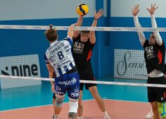 Severini-Pellicori (muro)