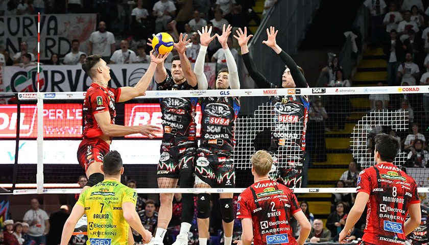 BenTara-Loser-Semeniuk (muro)