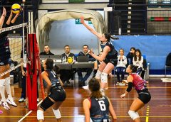 Falchetti Angelica (attacca)