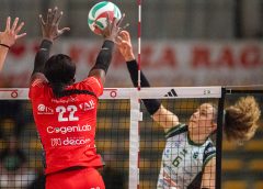 Williams Kashauna (muro)