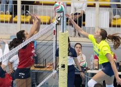 Zuliani Vittoria (pallonetto)