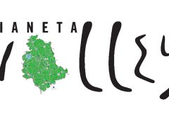 Pianeta Volley (Umbria)