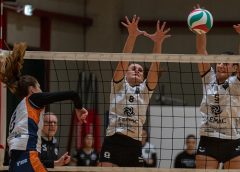 Viola-Mearini (muro)