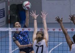 Bellanca Caterina (attacca)