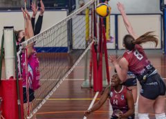 Falchetti Angelica (attacco)