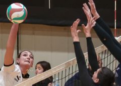 Morciano Francesca (attacca)