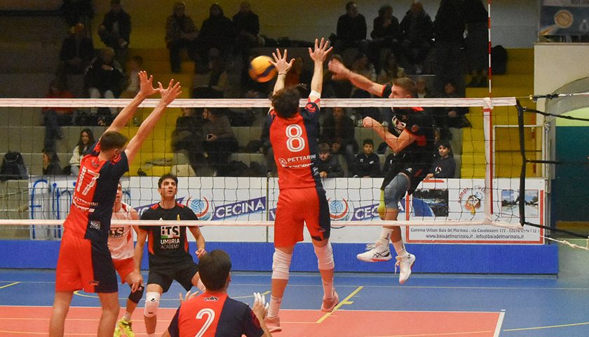 Pellicori Simone (spara)