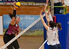 Pistocchi Giulia (attacco)