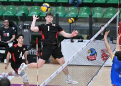 Severini Michele (attacco)