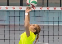 Guarino Giada (alzata)