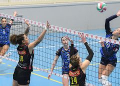 Artini Michela (attacco)