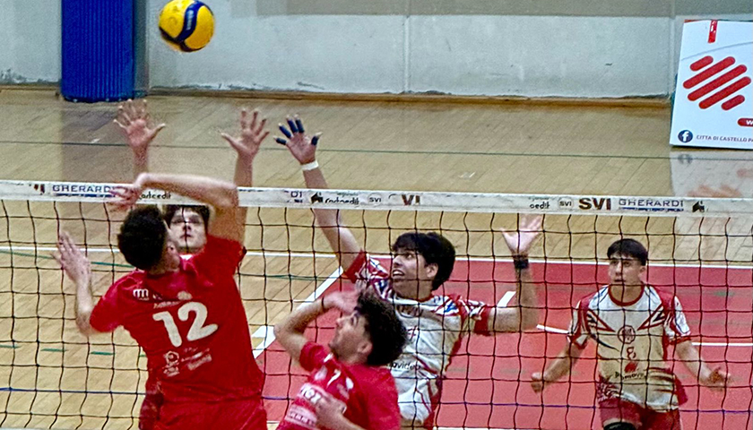 Stoppelli Davide (attacca)