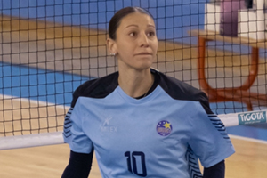 Artini Michela (rete)